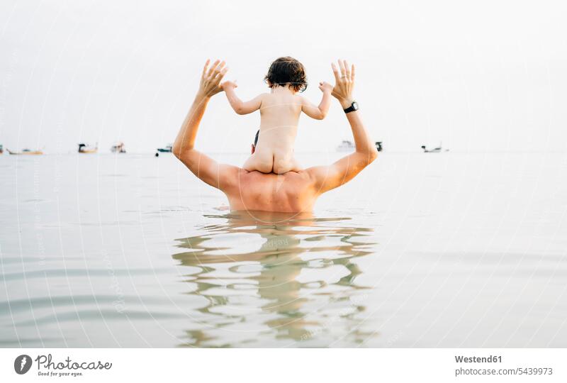 Rückenansicht eines Vaters, der seine kleine Tochter auf den Schultern im Meer trägt Töchter tragen transportieren Meere Papas Väter Vati Vatis Papis Kind