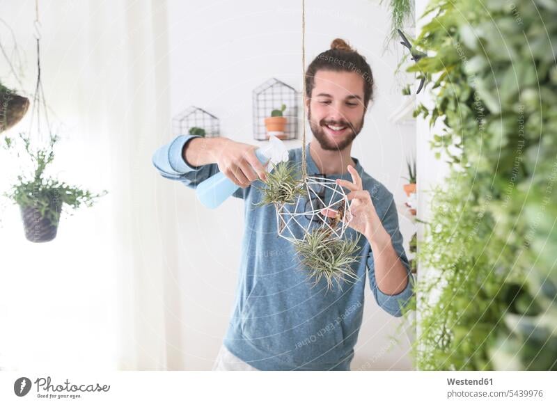Junger Mann gießt Luftpflanzen in geometrischem Anhänger lächeln bewässern Pflanze Pflanzenwelt Flora Tillandsien Tillandsia Männer männlich Erwachsener