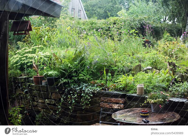 Paradies mit Gartentisch Baum Natur Landschaft Umwelt gesund frisch Stuhl Tisch Pflanzen Anbau Hausdach wohnen Vogelhäuschen grün Farn Hecke Mauer Rückzugsort