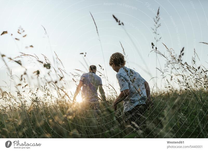 Junge und sein Vater spazieren bei Sonnenuntergang in der Natur gehen gehend geht Buben Knabe Jungen Knaben männlich Sonnenuntergänge Papas Väter Vati Vatis