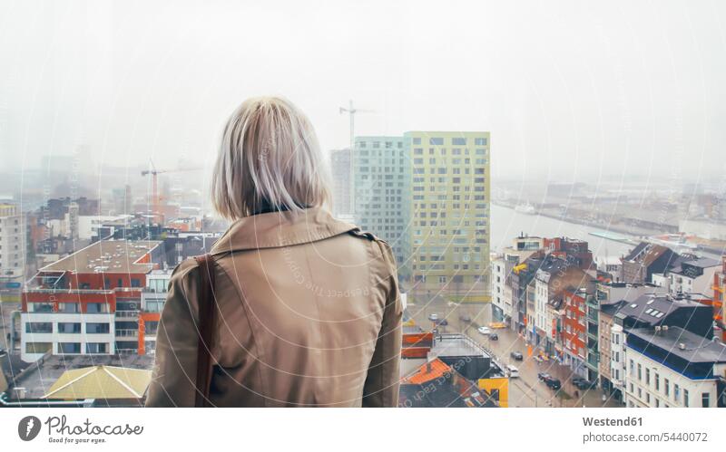 Belgien, Antwerpen, Rückenansicht einer Frau, die durch das Fenster nach Eilandje schaut betrachten betrachtend weiblich Frauen schauen sehend Erwachsener