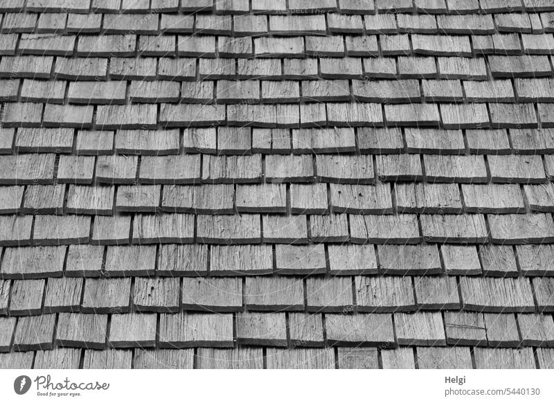 Holzschindeln Dach Schindeln Holzdach alt historisch Gebäude Detailansicht Architektur Außenaufnahme Menschenleer Bauwerk Muster Struktur Strukturen & Formen