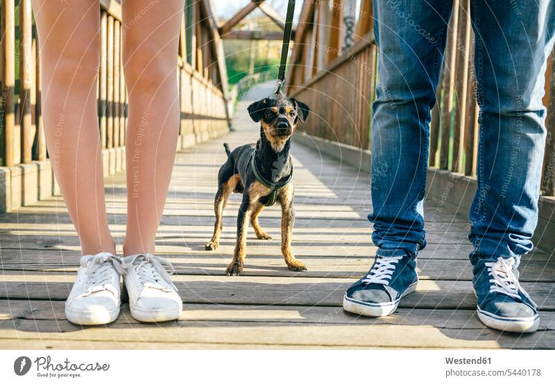 Hund zwischen den Beinen eines Paares auf einer Brücke stehen stehend steht Hunde Haustier Haustiere Tier Tierwelt Tiere Bruecken Brücken Pärchen Partnerschaft