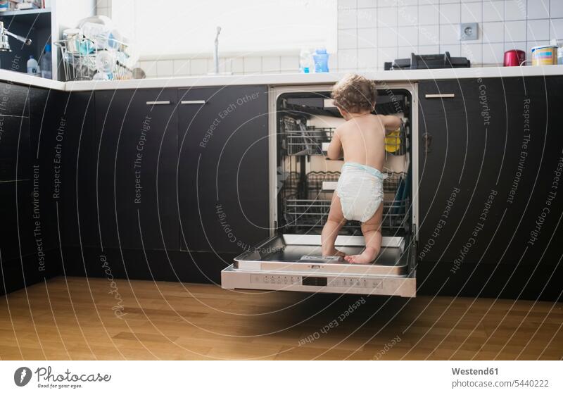 Rückansicht von Baby Junge trägt Windel erforschen Geschirrspüler in der Küche Babies Babys Säuglinge Kind Kinder Geschirrspülmaschine Spülmaschine