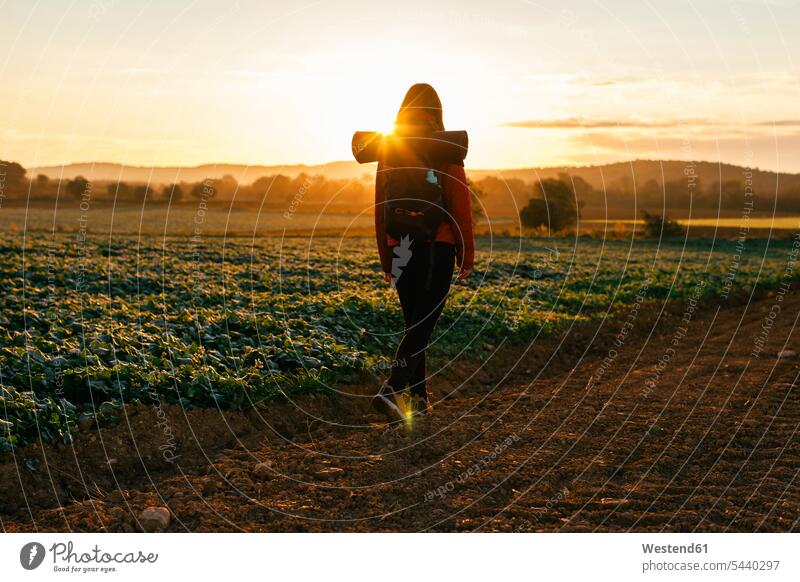 Spanien, Katalonien, Girona, Frau wandert bei Sonnenaufgang auf einem Feldweg gehen gehend geht Rückansicht Rueckansicht Rückenansicht Rueckenansicht von hinten