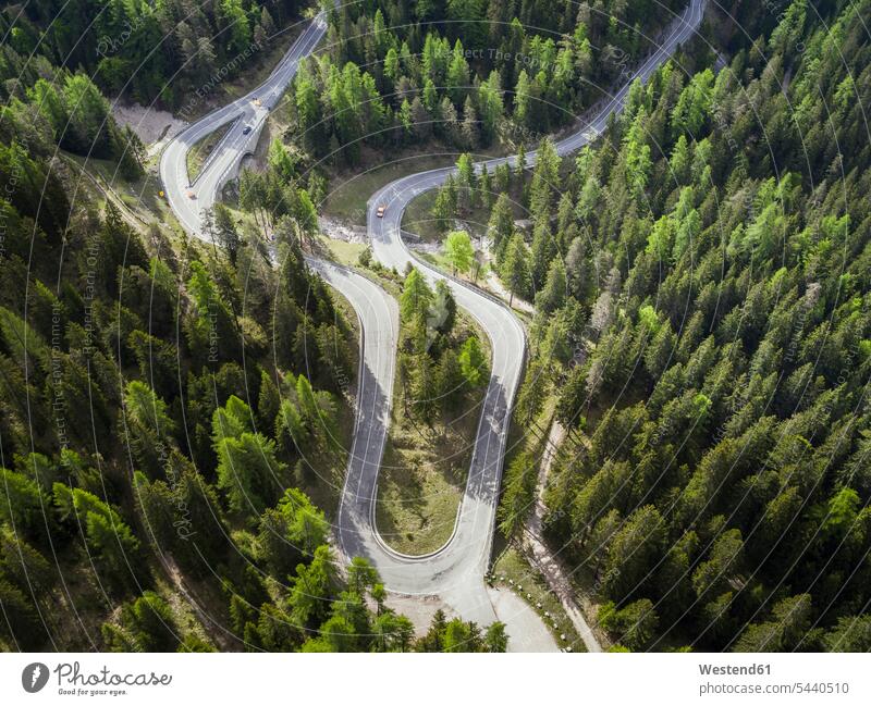 Italien, Südtirol, Dolomiten, Bergstraße bei Malga Ra Stua, Luftaufnahme Schönheit der Natur Schoenheit der Natur Wald Forst Wälder Cortina d'Ampezzo