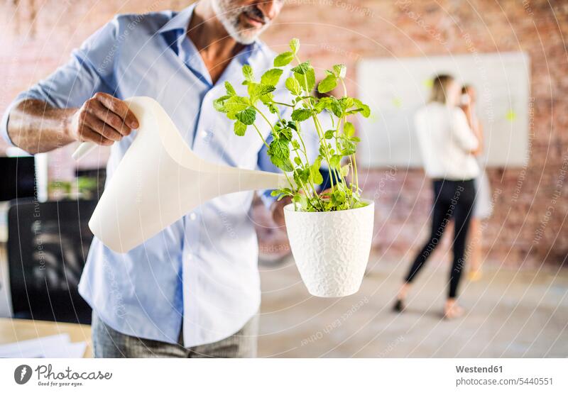 Geschäftsmann Bewässerungsanlage im Amt mit Kollegen im Hintergrund Pflanze Pflanzenwelt Flora gießen giessen Büro Office Büros Arbeitskollegen Businessmann