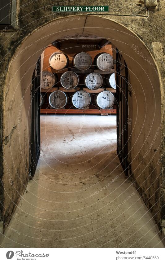 Alte Holzfässer in einer Whisky-Destillerie Whiskey Brennerei Spirituosen Alkohol Alkoholische Getraenke Alkoholisches Getränk Alkoholische Getränke