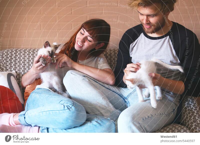 Junges Paar mit Kätzchen auf der Couch zu Hause Katze Katzen Pärchen Paare Partnerschaft Haustier Haustiere Tier Tierwelt Tiere Mensch Menschen Leute People