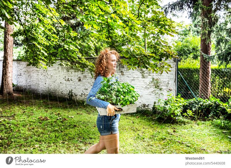 Junge Frau mit frischen Kräutern in einer Schachtel im Garten Kraeuter Kraut weiblich Frauen Gärten Gaerten Gewürz Gewürze Essen Food Food and Drink