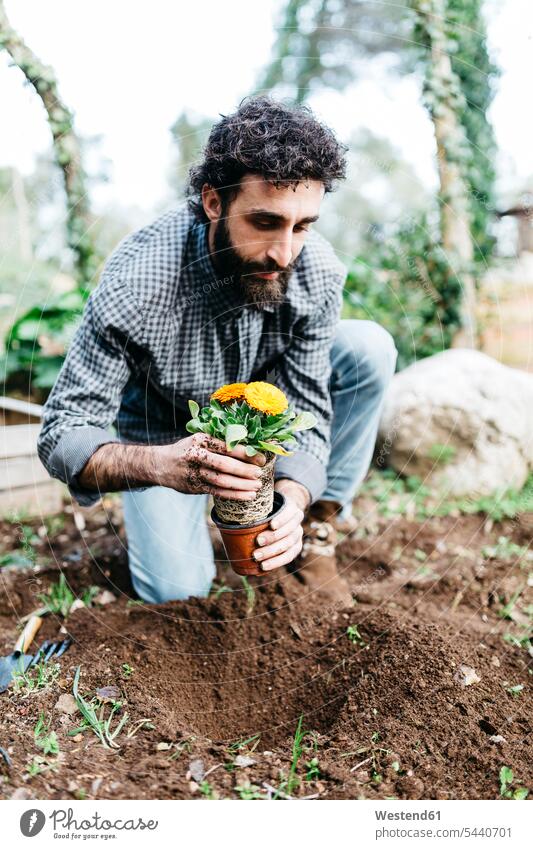 Mann pflanzt Blumen in seinem Garten einpflanzen anpflanzen Männer männlich Gärtner Blüte Gärten Gaerten Erwachsener erwachsen Mensch Menschen Leute People