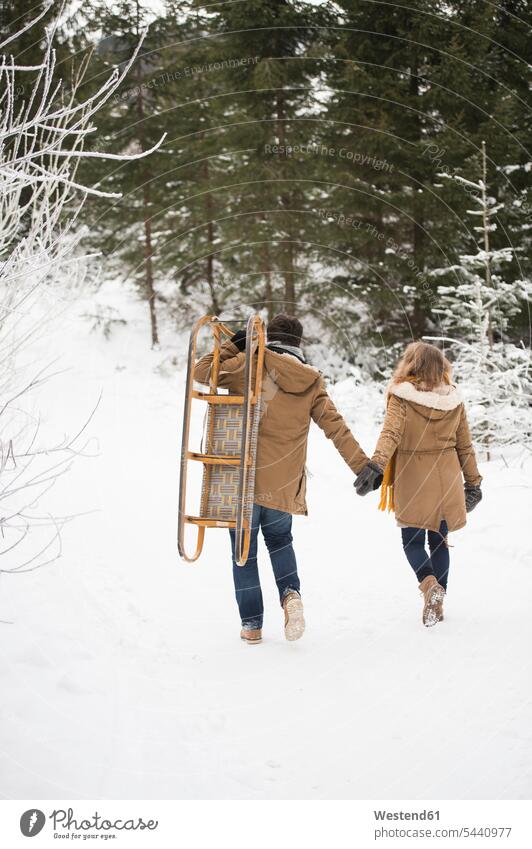 Rückenansicht eines jungen Paares mit Schlitten im Winterwald Pärchen Partnerschaft winterlich Winterzeit Mensch Menschen Leute People Personen Schnee gehen