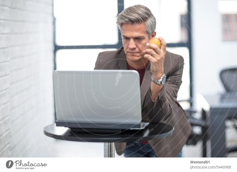 Geschäftsmann schaut auf Laptop, hält Apfel Businessmann Businessmänner Geschäftsmänner Laptop benutzen Laptop benützen arbeiten Arbeit Erfolg Erfolge