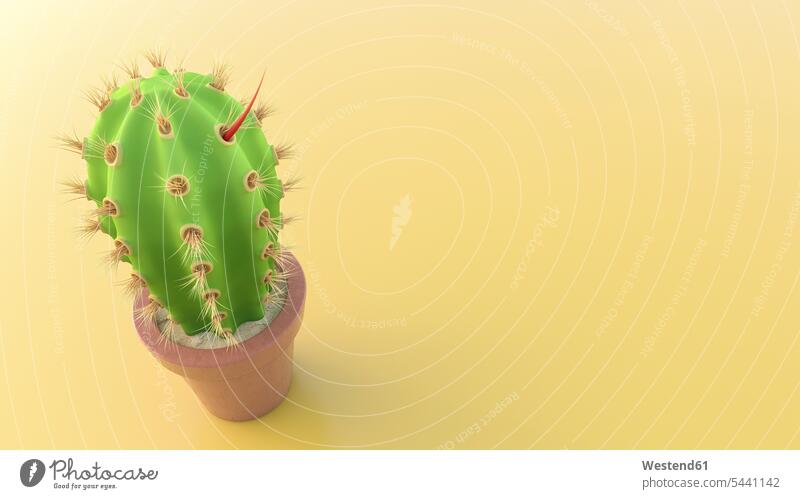 Kaktus mit rotem Dorn Idee Ideen Eingebung Aggression aggressiv Aggressivität Aggressionen Verteidigung abwehren verteidigend abwehrend Wachsen Wachstum Stachel