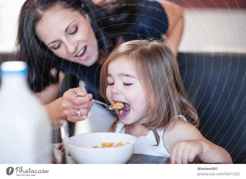 Mutter füttert Tochter mit Frühstücksflocken am Tisch Töchter Zuhause zu Hause daheim essen essend Mami Mutti Mütter Mama frühstücken Kind Kinder Familie