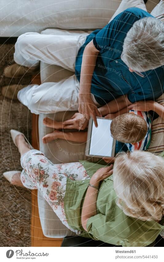 Großeltern und Enkel zu Hause sitzen auf der Couch und teilen sich ein Tablet Grosseltern Sofa Couches Liege Sofas Tablet Computer Tablet-PC Tablet PC iPad