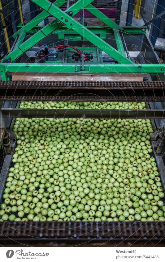 Grüne Äpfel in der Fabrik werden gewaschen Food and Drink Lebensmittel Essen und Trinken Nahrungsmittel Industrie industriell Gewerbe Industrien Automatisierung