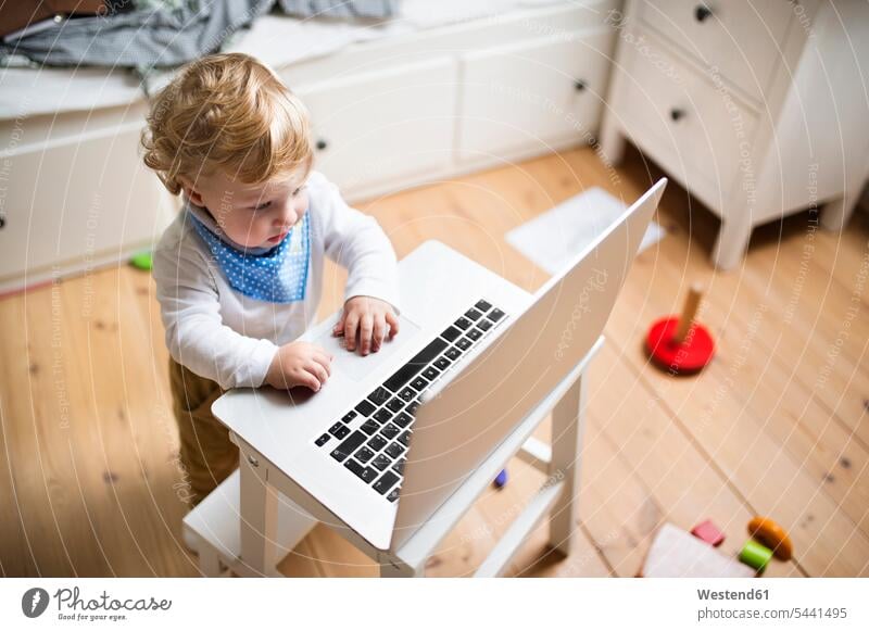 Kleiner Junge spielt zu Hause mit Laptop spielen Notebook Laptops Notebooks Computer Rechner Zuhause daheim Europäer Kaukasier Europäisch kaukasisch Interesse