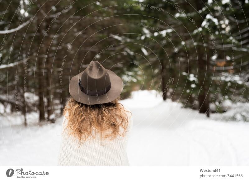 Rückenansicht einer jungen Frau mit Mütze und Strickpullover im Winterwald weiblich Frauen verschneit schneebedeckt Erwachsener erwachsen Mensch Menschen Leute
