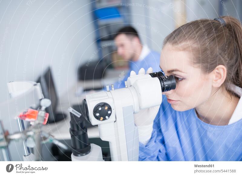 Laborant, der durch ein Mikroskop schaut Laboranten arbeiten Arbeit untersuchen prüfen Labore Mikroskope schauen sehend Wissenschaft wissenschaftlich
