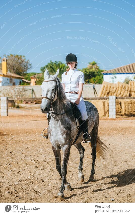 Junge Frau reitet zu Pferd Equus caballus Pferde reiten Pferdesport Reitsport weiblich Frauen Säugetier Mammalia Saeugetiere Säugetiere Tier Tierwelt Tiere