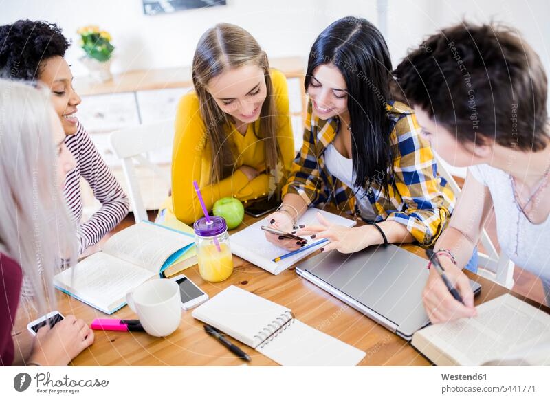 Gruppe von Studentinnen, die sich zu Hause am Tisch ein Handy teilen Teilen Sharing Tische Hochschülerin Hochschülerinnen Hochschuelerinnen Frau weiblich Frauen