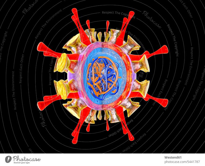 Grippe-Virus, 3D-Darstellung Form Formen Viren Gesundheitswesen Forschung Forschen schwarzer Hintergrund Kugelform Kugelformen Makro Makroaufnahme Bildsynthese