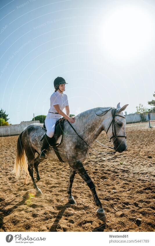 Junge Frau reitet zu Pferd Equus caballus Pferde Reiterin Reiterinnen reiten Pferdesport Reitsport Säugetier Mammalia Saeugetiere Säugetiere Tier Tierwelt Tiere