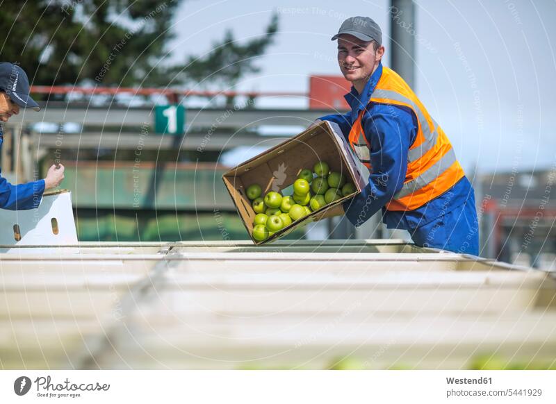 Arbeiter in reflektierender Weste beim Verpacken von Äpfeln Apfel Aepfel Leuchtweste Warnwesten high-visibility jacket Leuchtwesten verpacken Obst Früchte Essen