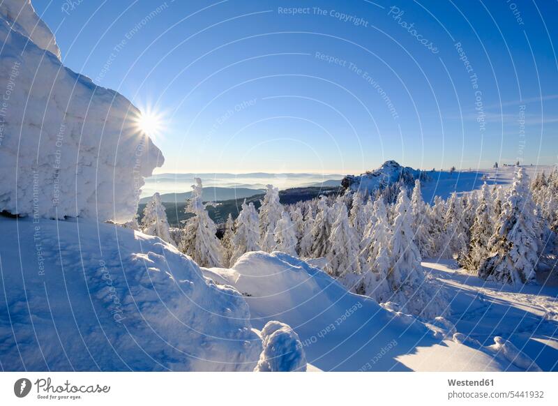 Deutschland, Bayern, Bayerischer Wald im Winter, Blick vom Grossen Seeriegel auf den Bodenmaiser Riegel Berg Berge Großer Seeriegel Außenaufnahme draußen