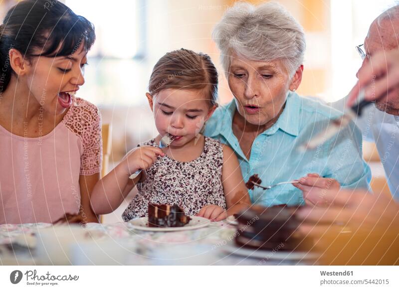 Großeltern, die mit ihrer Enkelin Geburtstag feiern, essen Schokoladenkuchen Kuchen essend Geburtstagskuchen Geburtstagstorten Grosseltern Geburtstagsfeiern