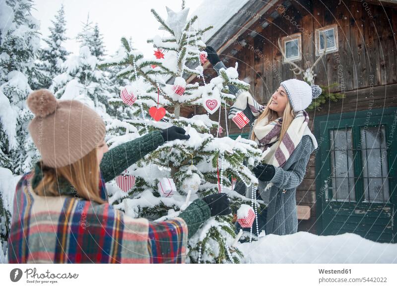 Österreich, Altenmarkt-Zauchensee, zwei junge Frauen schmücken den Weihnachtsbaum am Holzhaus Winter winterlich Winterzeit Holzhäuser Holzhaeuser Weihnachten