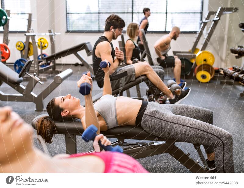 Junge Frau übt mit Hanteln im Fitnessstudio Gewicht Gewichte Gesundheit gesund trainieren junge Frau junge Frauen fit junger Mann junge Männer Gewichtheben
