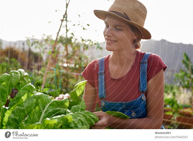 Porträt eines lächelnden Bauern mit Strohhut Bäuerin Baeuerin Bäuerinnen Landwirtinnen Baeuerinnen Bäurinnen Garten Gärten Gaerten Landwirte Landwirtschaft