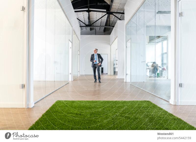 Reifer Geschäftsmann steht in Büroräumen mit grünem Grasteppich Umwelt Ökologie Teilen Sharing Coworking Space stehen stehend Office Büros Green Business