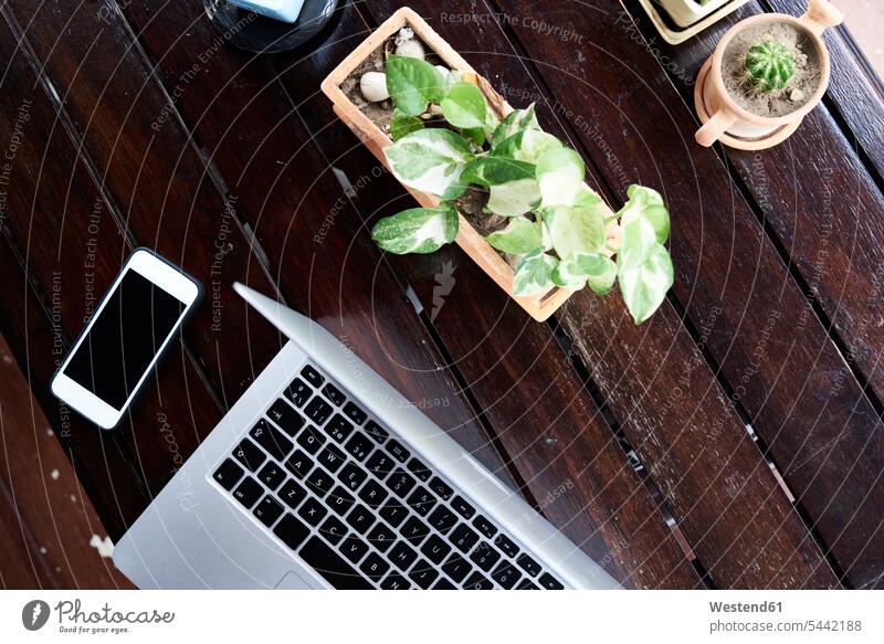 Draufsicht von Handy und Laptop auf Holztisch mit Pflanzen Pflanzenwelt Flora Mobiltelefon Handies Handys Mobiltelefone Notebook Laptops Notebooks Tisch Tische