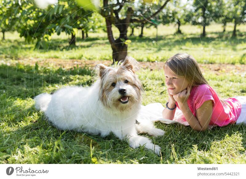 Mädchen liegt mit Hund auf der Wiese liegen liegend glücklich Glück glücklich sein glücklichsein Hunde lächeln Garten Gärten Gaerten weiblich Wiesen Haustier