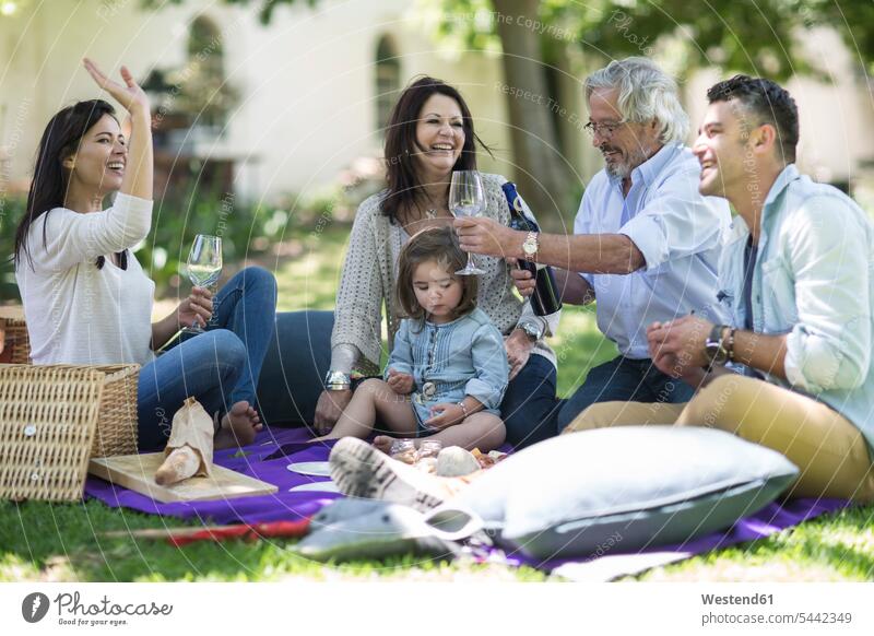 Fröhliche Großfamilie beim Picknick Familie Familien Wein Weine Generationen picknicken Mensch Menschen Leute People Personen Alkohol Alkoholische Getraenke