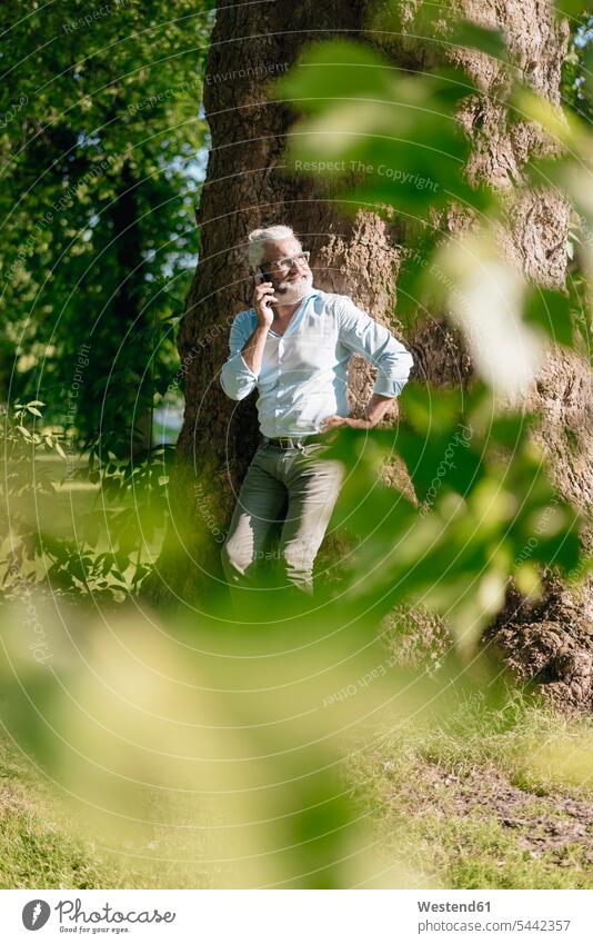 Lächelnder reifer Mann am Handy, der sich an einen Baum lehnt Mobiltelefon Handies Handys Mobiltelefone Bäume Baeume telefonieren anrufen Anruf telephonieren