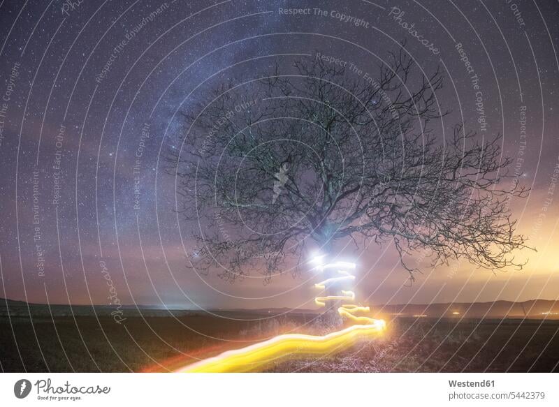 Milchstraße und Lichtmalbaum Stimmung stimmungsvoll Sternhimmel Sternenhimmel Beleuchtung beleuchtet Spanien Bewegung sich bewegen Kunst Kultur und Unterhaltung