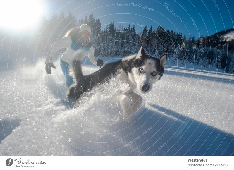 Österreich, Altenmarkt-Zauchensee, glückliche junge Frau rennt mit Hund im Schnee Spaß Spass Späße spassig Spässe spaßig weiblich Frauen Hunde Glück
