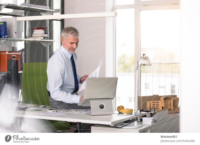 Geschäftsmann, der im Büro arbeitet und einen Laptop benutzt Office Büros Notebook Laptops Notebooks sitzen sitzend sitzt Planungsbüro arbeiten Arbeit Pläne