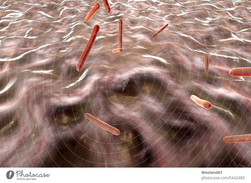 3D-gerenderte Illustration, Visualisierung von Tuberkulosebakterien in einem Organismus Struktur Strukturen Infektion Infektionskrankheiten infiziert