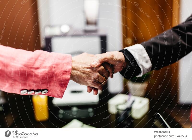 Nahaufnahme von zwei Geschäftsfrauen beim Händeschütteln im Amt Handschlag Büro Office Büros Businesswomen Businessfrauen Businesswoman begrüßen Begrüßung