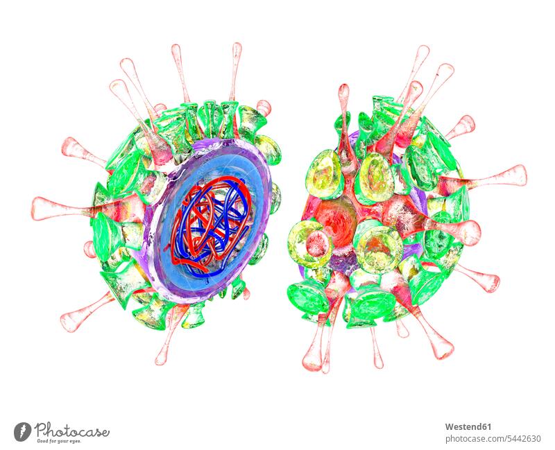 Grippe-Virus, 3D-Darstellung Form Formen Gesundheitswesen Forschung Forschen Hälfte halbe halbiert halber Haelfte Kugelform Kugelformen weißer Hintergrund