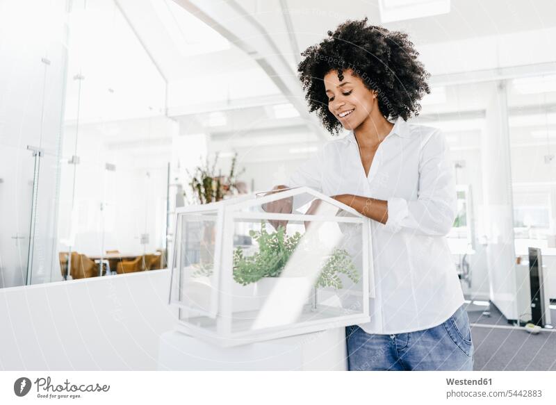 Lächelnde junge Frau im Büro bei der Pflege von Pflanzen im Glaskasten stehen stehend steht Pflanzenwelt Flora lächeln weiblich Frauen Erwachsener erwachsen