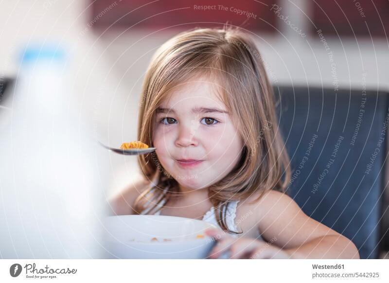 Porträt eines Kleinkindes beim Verzehr von Frühstücksflocken frühstücken Mädchen weiblich Zuhause zu Hause daheim essen essend Mahlzeit Mahlzeiten Essen Speise