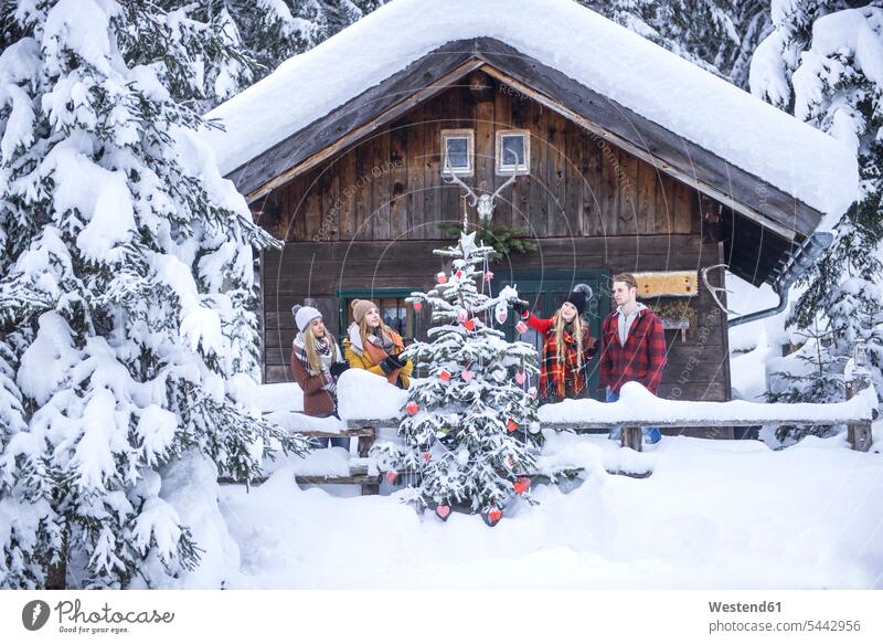 Österreich, Altenmarkt-Zauchensee, Freunde schmücken den Weihnachtsbaum am Holzhaus Weihnachten Christmas X-Mas X mas Christbaum Weihnachtsbäume