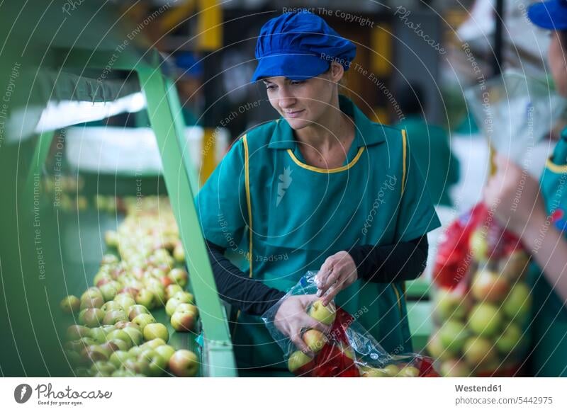 Frau verpackt Äpfel in der Fabrik in Plastiktüten Fabrikgebäude Fabrikgebaeude Fabriken Plastiktueten arbeiten Arbeit verpacken weiblich Frauen Apfel Aepfel