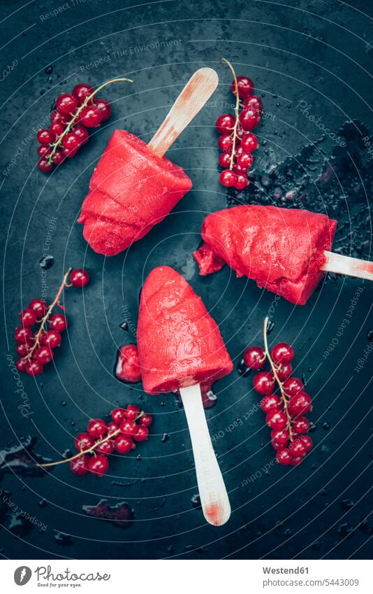 Hausgemachte Johannisbeer-Popsicles und rote Johannisbeeren auf Schiefer roter rotes süß Süßes Eis Speiseeis fruchtig Fruchteis Früchteeis Fruechteeis Dessert